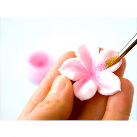 Пищевой краситель цветочная пыльца Зелёная 5 гр.